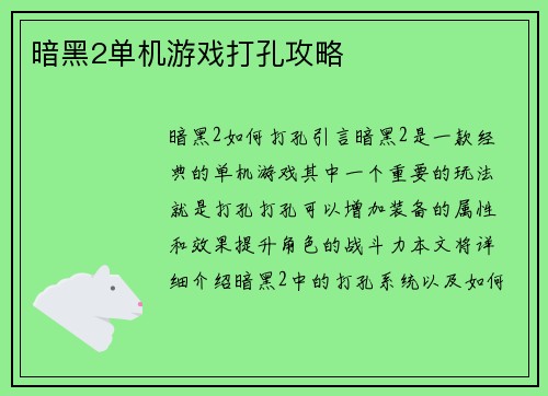 暗黑2单机游戏打孔攻略