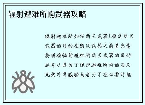 辐射避难所购武器攻略