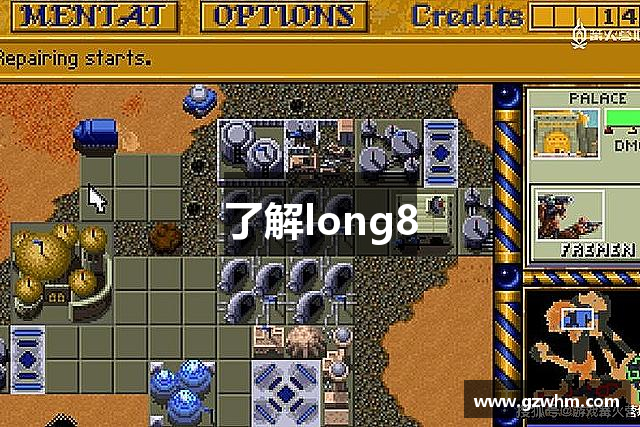了解long8